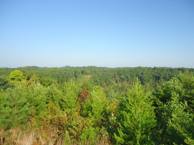 202 Duncan Branch Road Vonore, TN 37885 - Photo 24 of 40 26-DSC00026