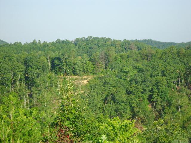 202 Duncan Branch Road Vonore, TN 37885 - Photo 25 of 40 27-DSC00027