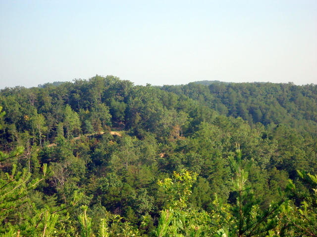 202 Duncan Branch Road Vonore, TN 37885 - Photo 26 of 40 28-DSC00028