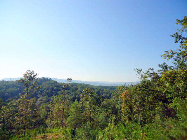 202 Duncan Branch Road Vonore, TN 37885 - Photo 28 of 40 32-DSC00032