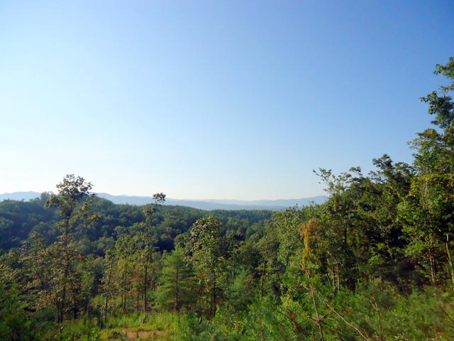 202 Duncan Branch Road Vonore, TN 37885 - Photo 30 of 40 35-DSC00035
