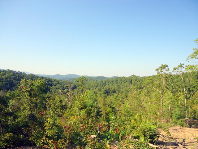202 Duncan Branch Road Vonore, TN 37885 - Photo 32 of 40 37-DSC00037