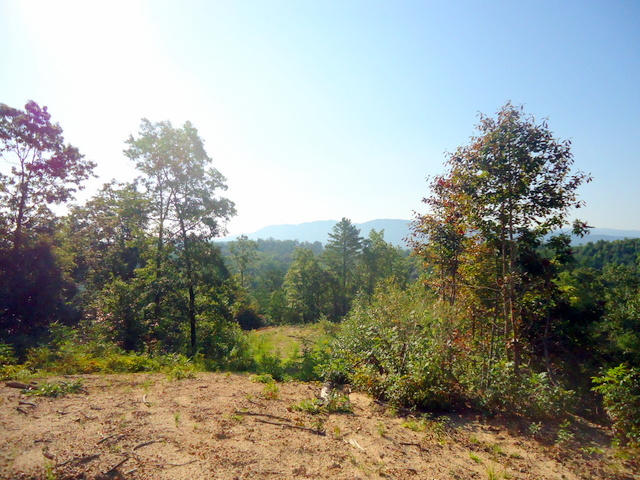 202 Duncan Branch Road Vonore, TN 37885 - Photo 33 of 40 38-DSC00038