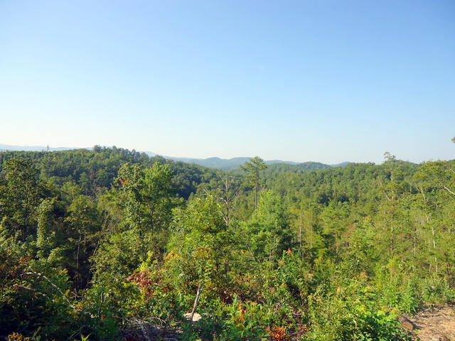 202 Duncan Branch Road Vonore, TN 37885 - Photo 34 of 40 39-DSC00039