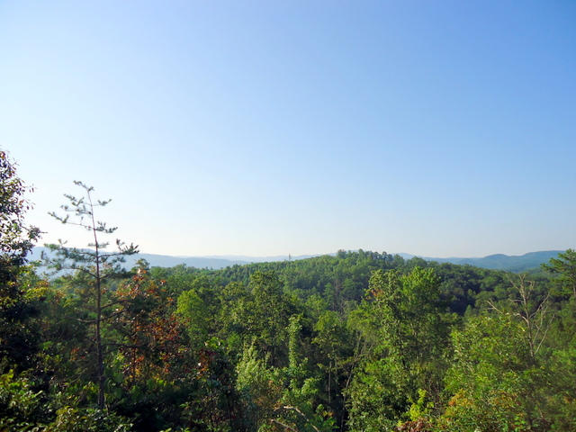 202 Duncan Branch Road Vonore, TN 37885 - Photo 35 of 40 40-DSC00040