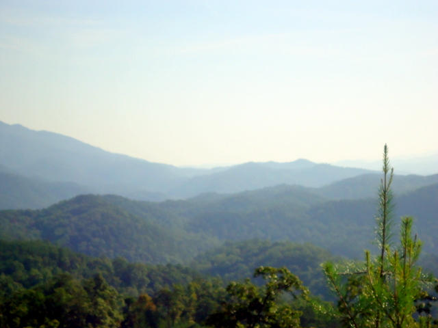 202 Duncan Branch Road Vonore, TN 37885 - Photo 37 of 40 42-DSC00042