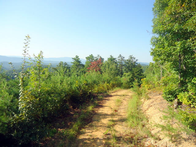 202 Duncan Branch Road Vonore, TN 37885 - Photo 39 of 40 46-DSC00046