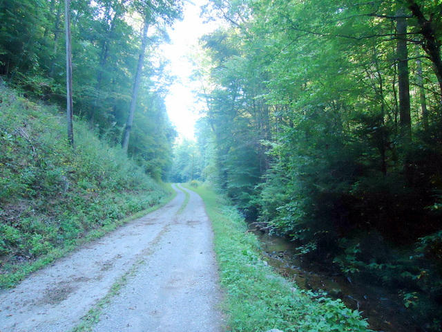 202 Duncan Branch Road Vonore, TN 37885 - Photo 40 of 40 49-DSC00049