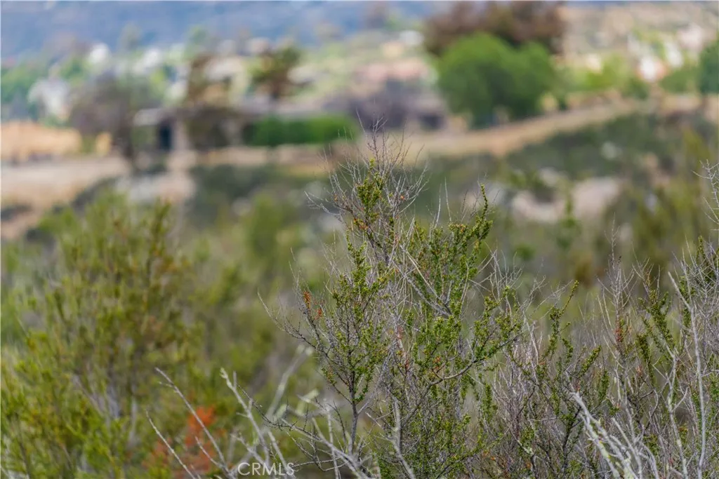 1 Gray Squirrel Road Temecula, CA 92592 - Photo 42 of 74