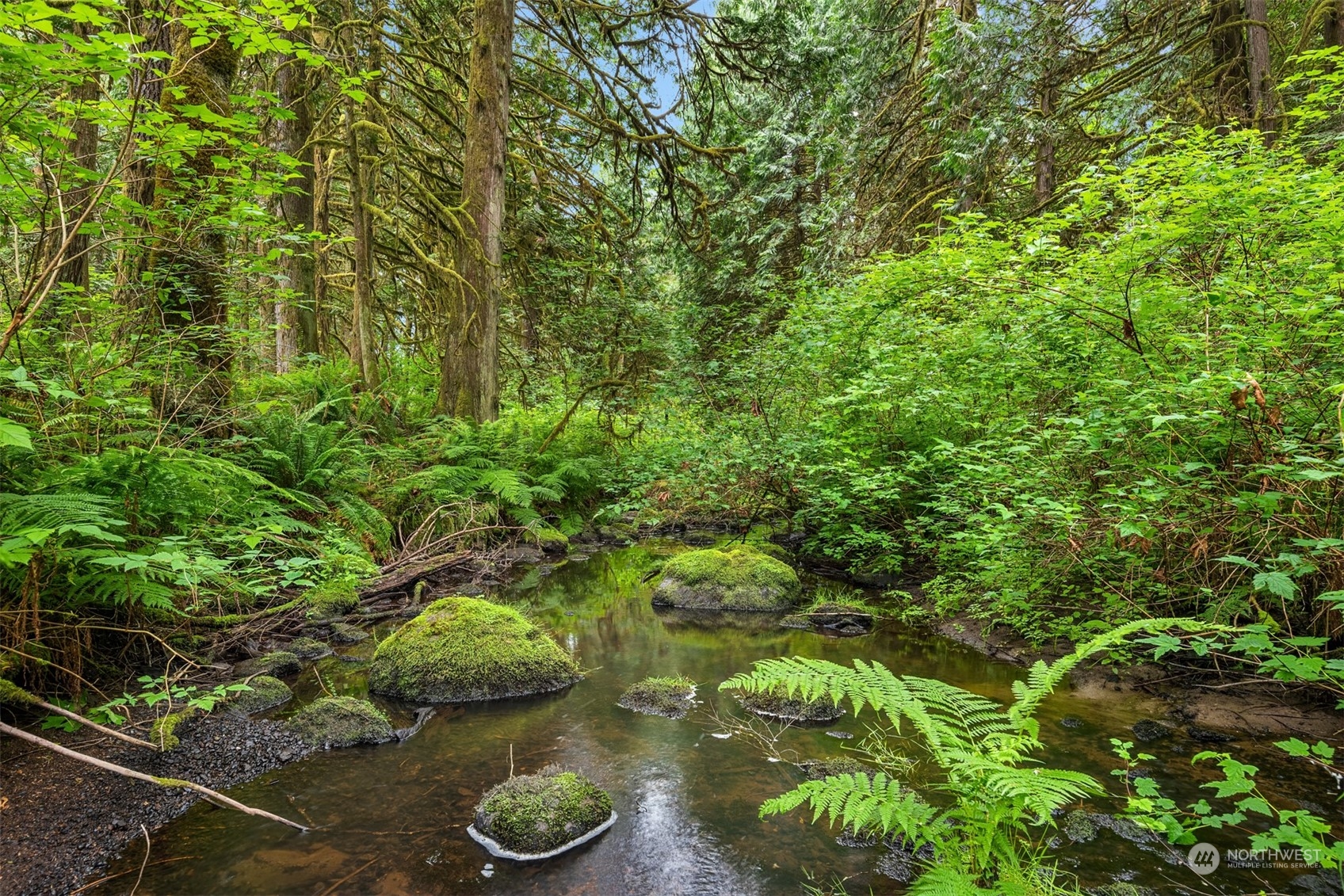 11417 Kelly Road Northeast Carnation, WA 98014 - Photo 7 of 39 a view of a garden with plants