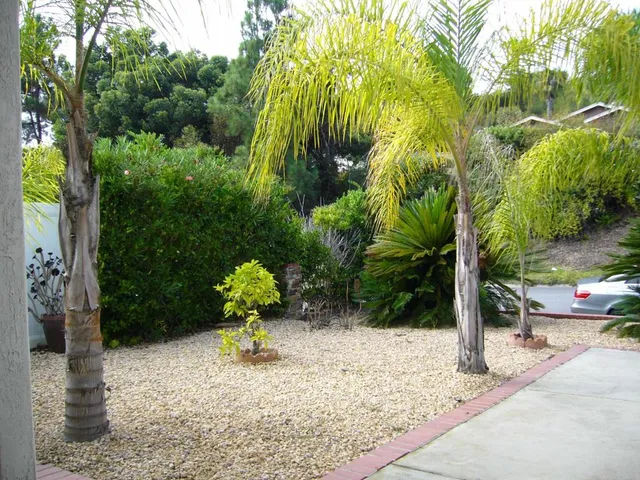 a view of a yard with plants