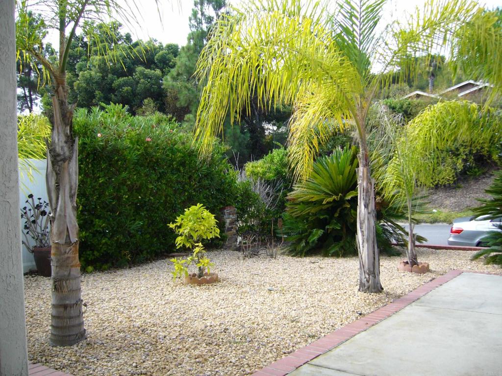 5191 Bothe Avenue University City, CA 92122 - Photo 5 of 29 a view of a yard with plants