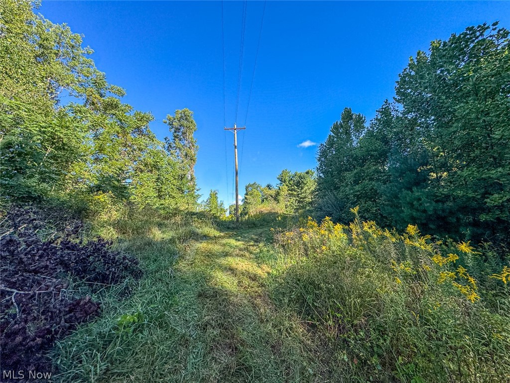 0 Southeast Kleski Road Tippecanoe, OH 44699 - Photo 26 of 33 Gallery Image 26