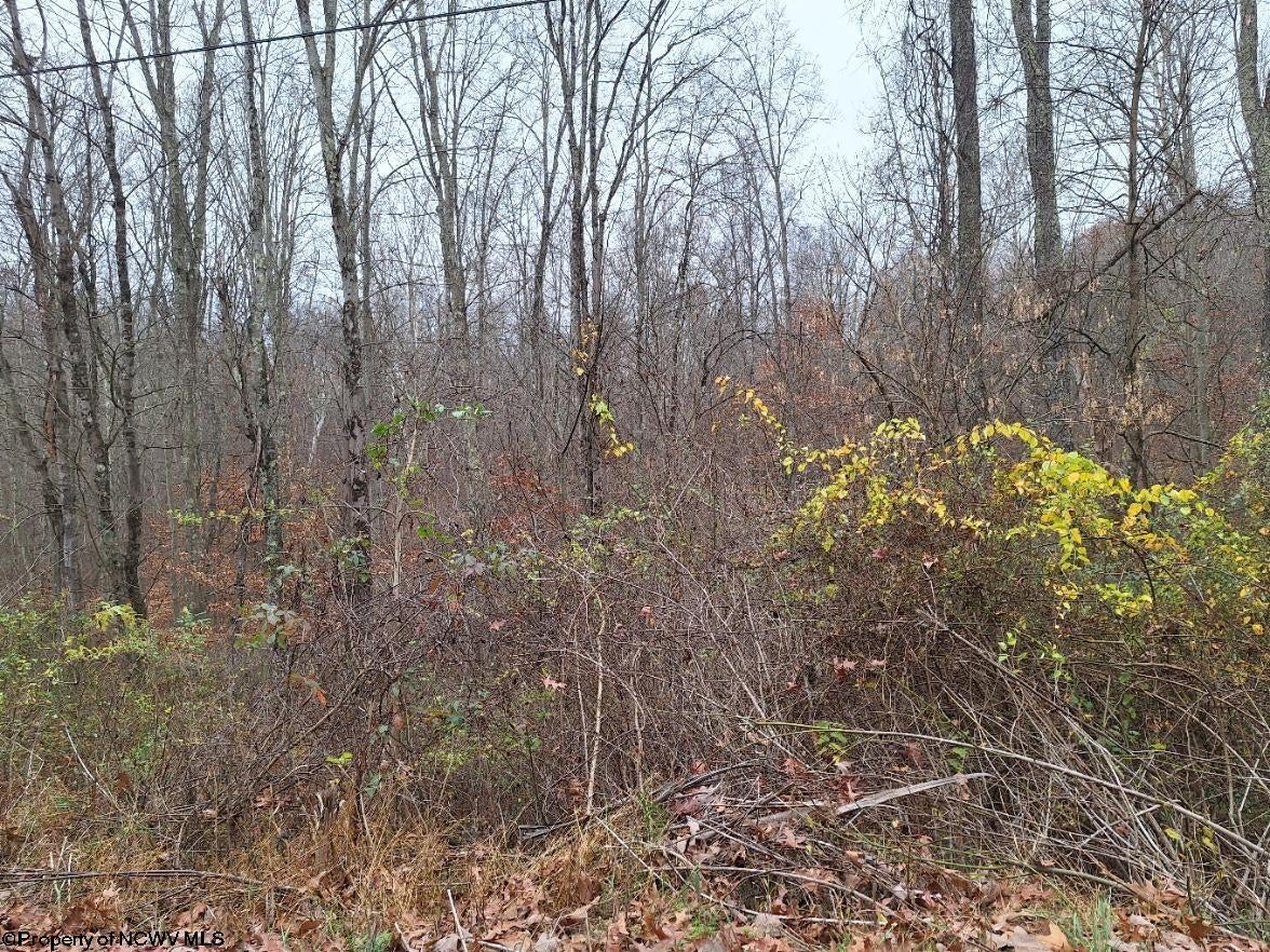 Tbd Jack Run Road Bridgeport, WV 26330 - Photo 17 of 19 Gallery Image 17