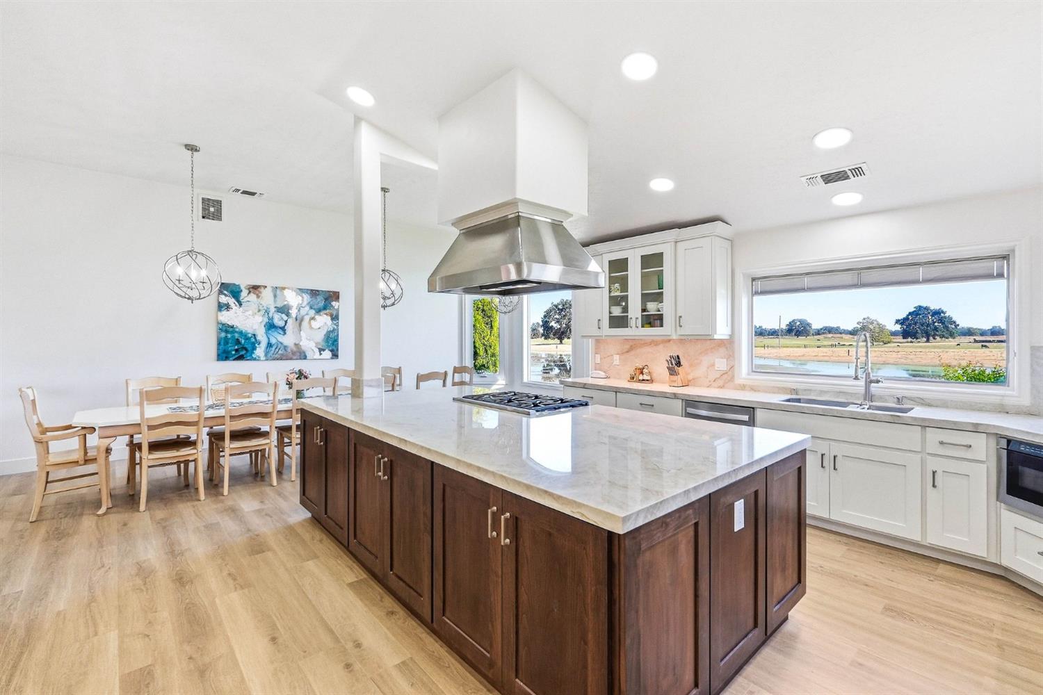 11255 Green Road Wilton, CA 95693 - Photo 8 of 75 Gallery Image 8