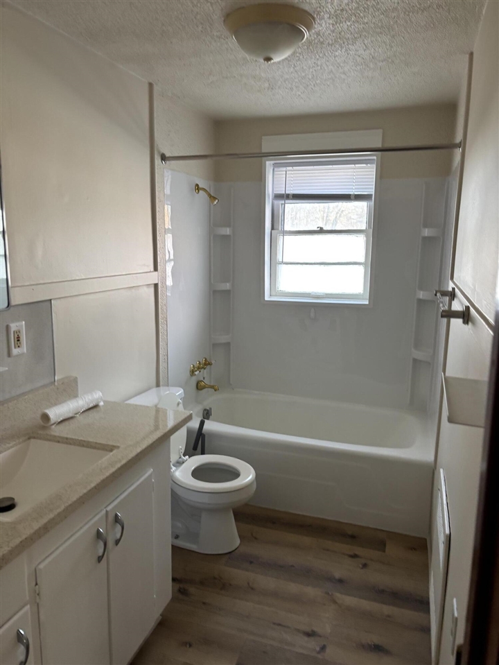 190 Maple Street Concord, MI 49237 - Photo 6 of 11