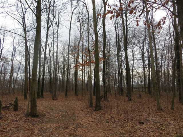 0 Millersburg Road Howard, OH 43028 - Photo 3 of 5