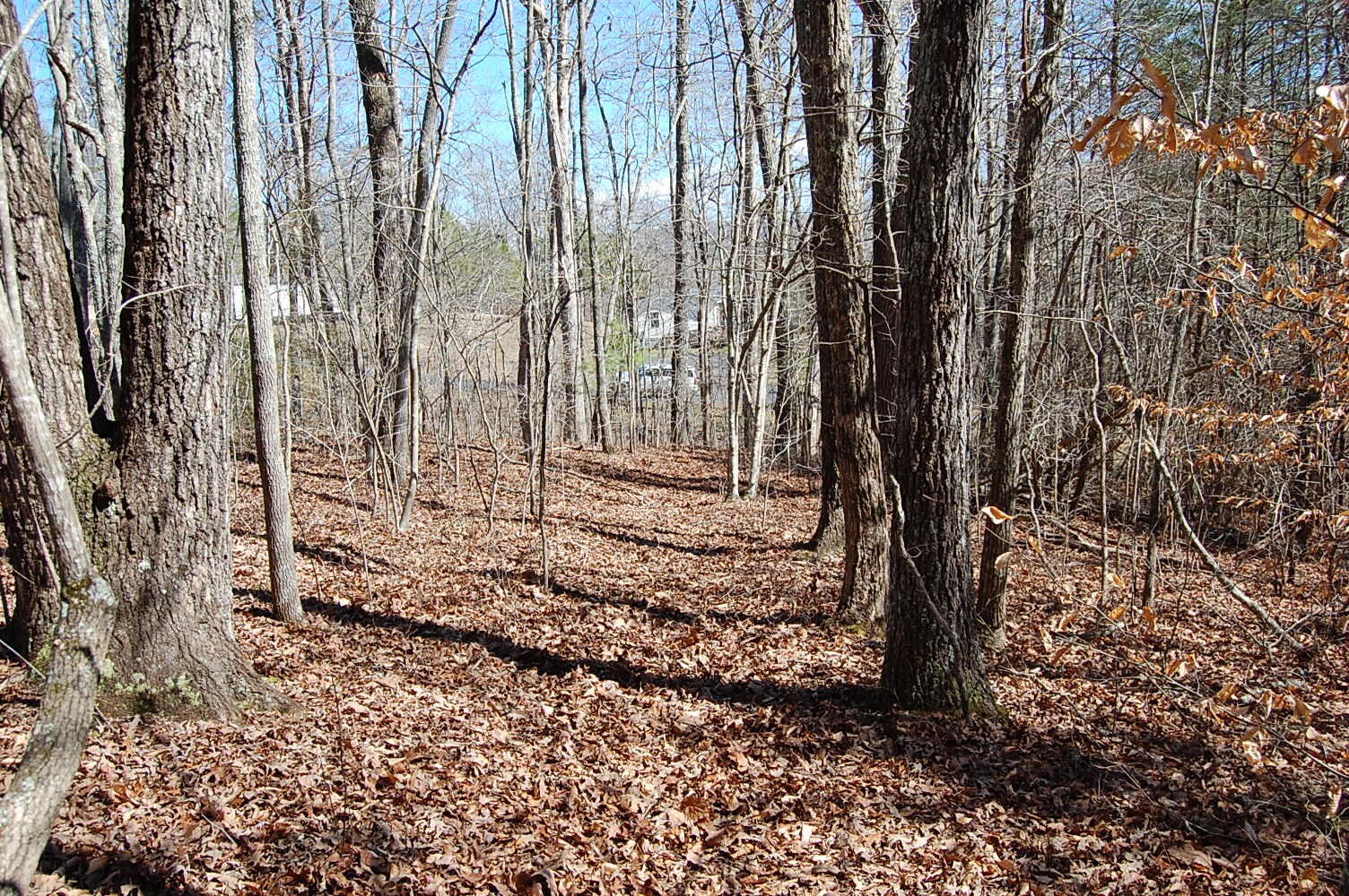 5 Pickett Cross Road Whitwell, TN 37397 - Photo 35 of 36 Gallery Image 35