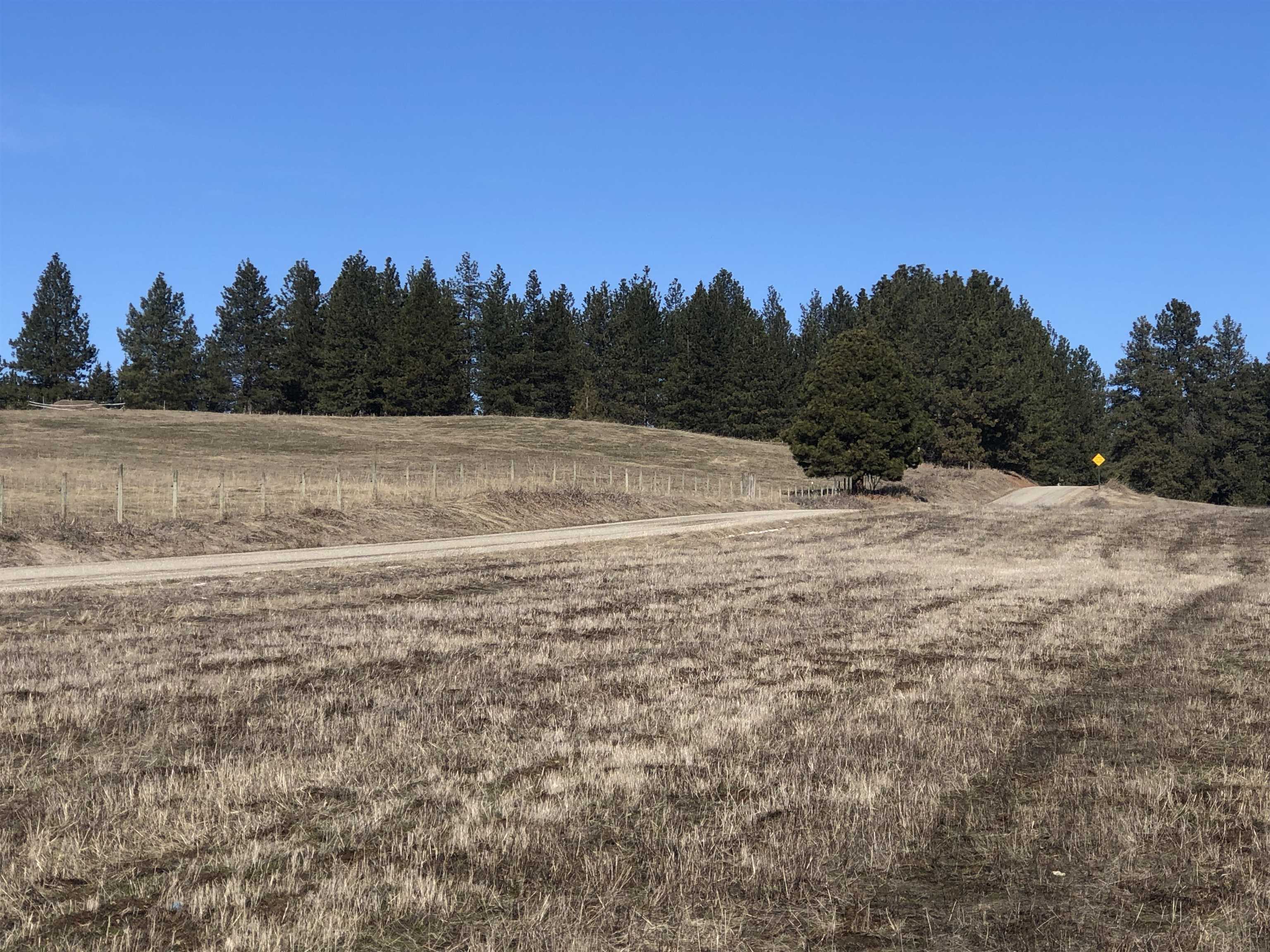 41900 North Darknell Road Elk, WA 99009 - Photo 16 of 33 Gallery Image 16