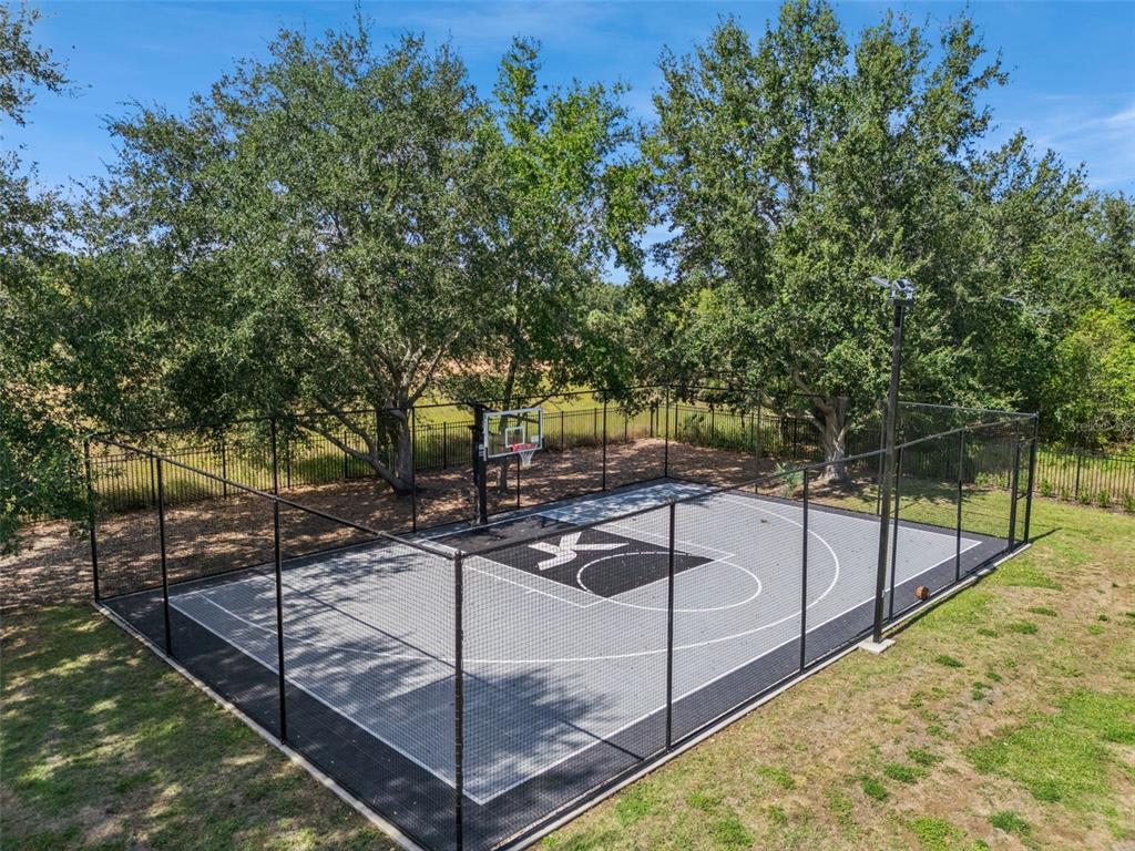 15746 Pendio Drive Montverde, FL 34756 - Photo 50 of 71 a view of a backyard