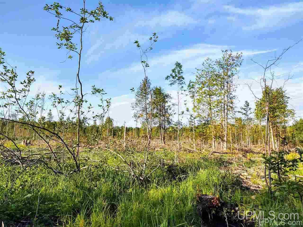 Tbd Off Arnheim Road Baraga, MI 49908 - Photo 17 of 28 Gallery Image 17