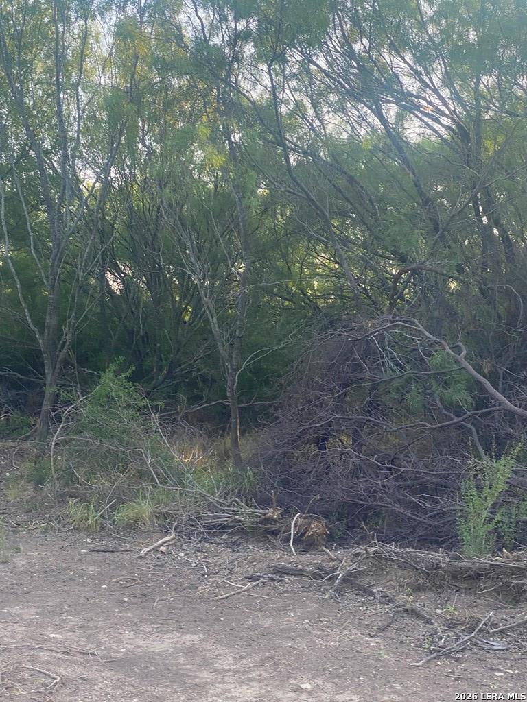 496 D D Chavarria Road Eagle Pass, TX 78852 - Photo 4 of 6