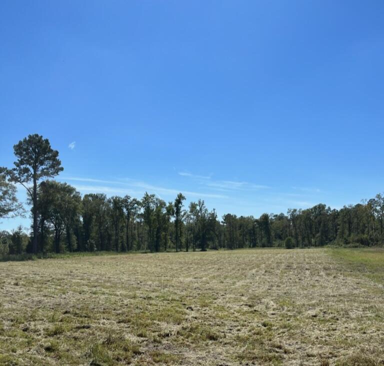 0 Coach Road Holly Hill, SC 29059 - Photo 5 of 27 IMG_20231221_153559 (1)