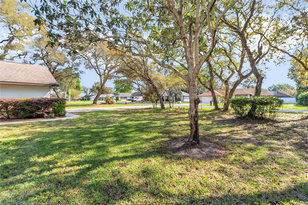 8160 Southwest 53rd Court Ocala, FL 34476 - Photo 12 of 54 a backyard of a house with lots of green space