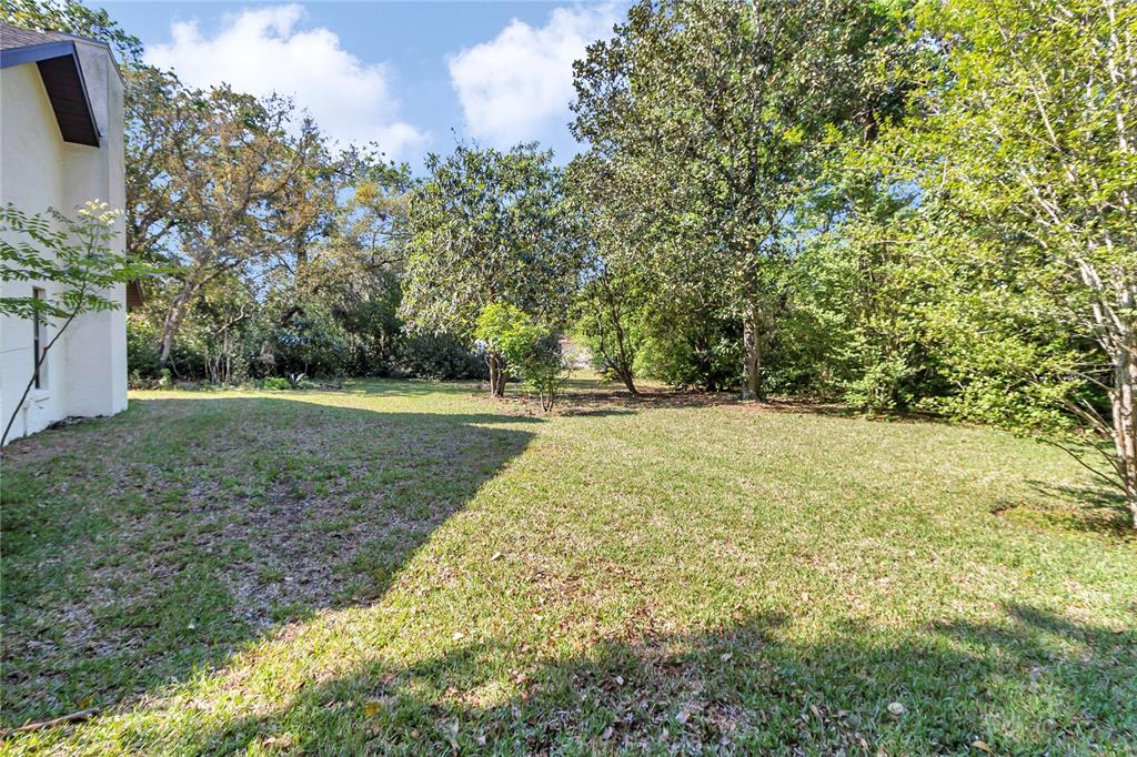 8160 Southwest 53rd Court Ocala, FL 34476 - Photo 8 of 54 a view of a yard with plants and trees