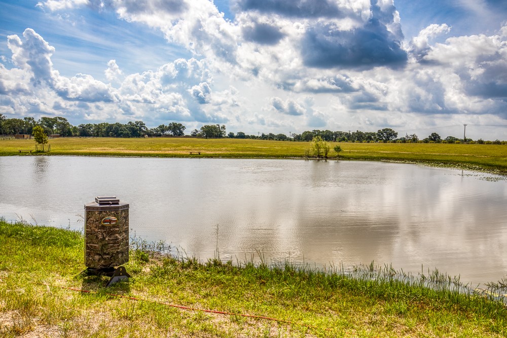 35418 Tompkins Road Hempstead, TX 77445 - Photo 37 of 50 a view of a lake from a yard