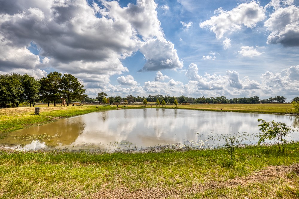 35418 Tompkins Road Hempstead, TX 77445 - Photo 38 of 50 a view of a lake and beach