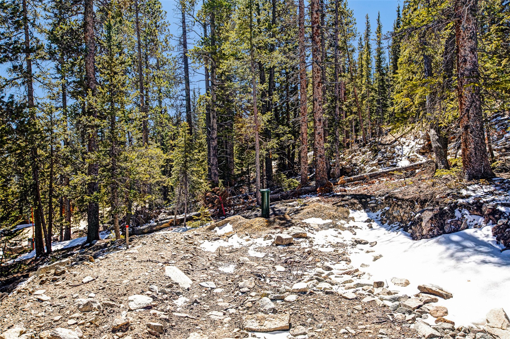 313 Porcupine Road Fairplay, CO 80440 - Photo 14 of 50 a view of outdoor space and yard