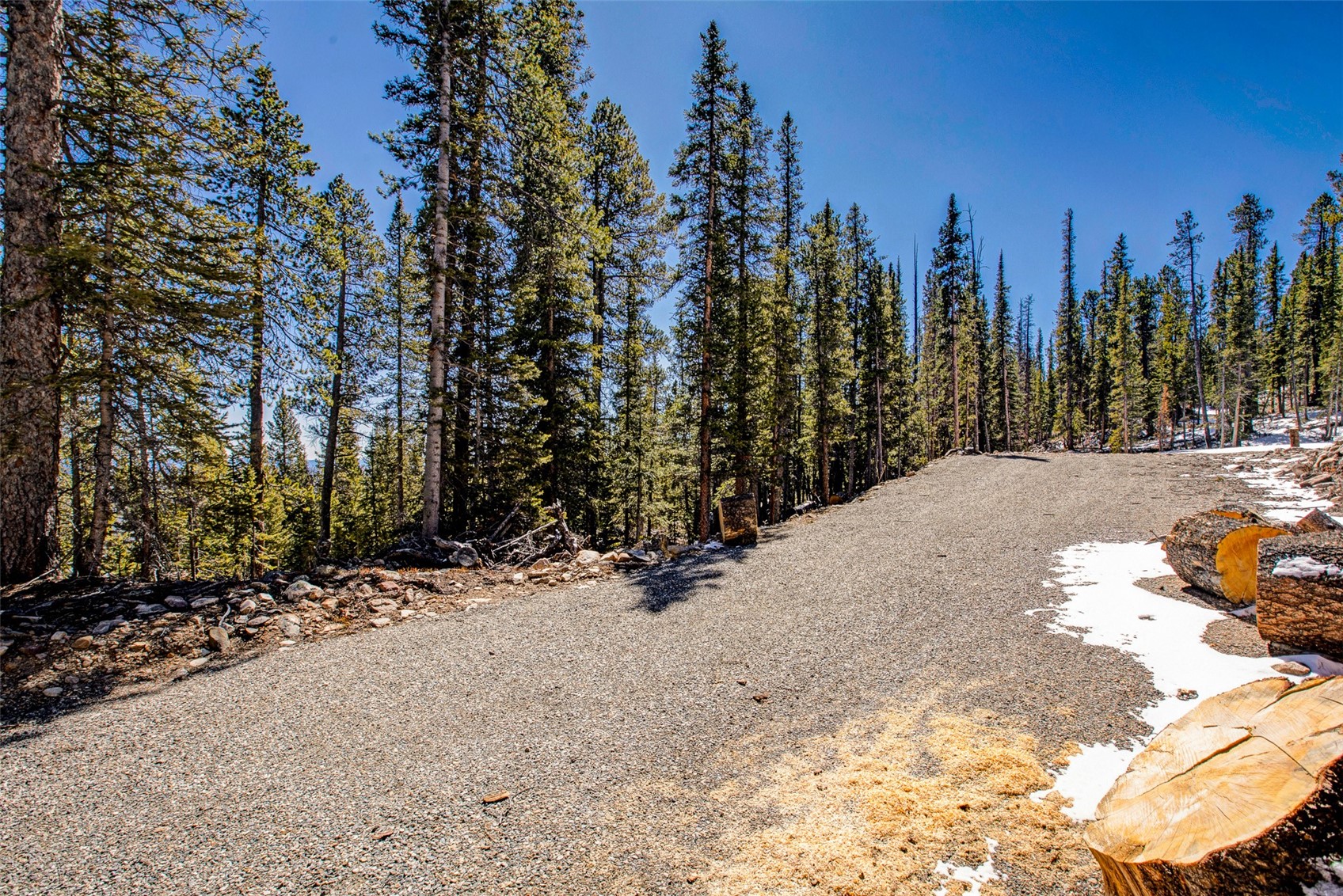 313 Porcupine Road Fairplay, CO 80440 - Photo 15 of 50 a view of a road with trees in the background