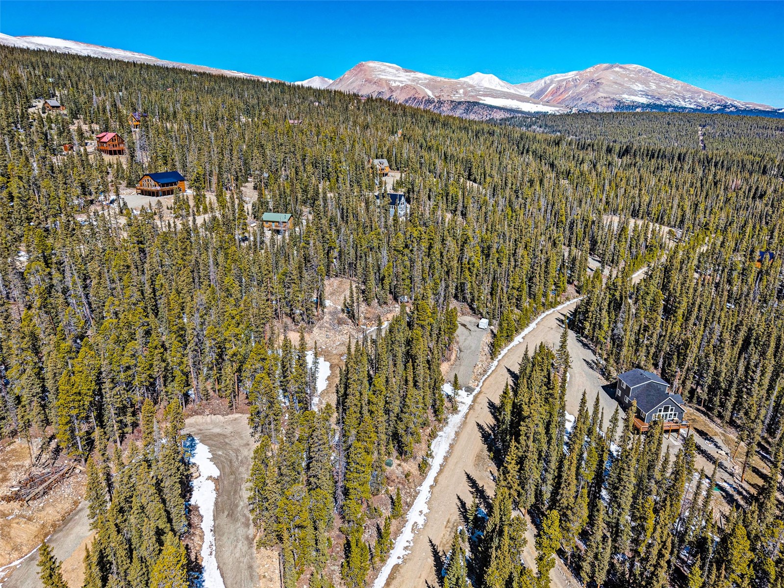 313 Porcupine Road Fairplay, CO 80440 - Photo 16 of 50 a view of a bunch of trees
