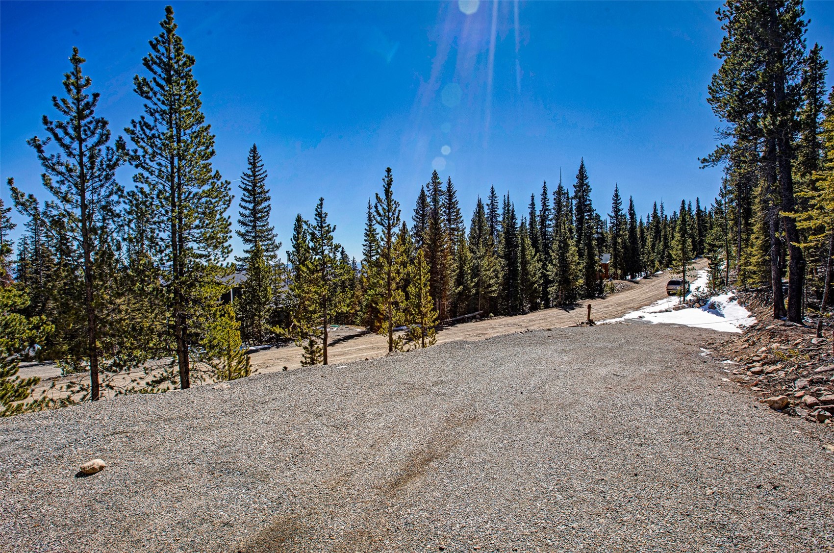 313 Porcupine Road Fairplay, CO 80440 - Photo 20 of 50 a view of outdoor space with trees