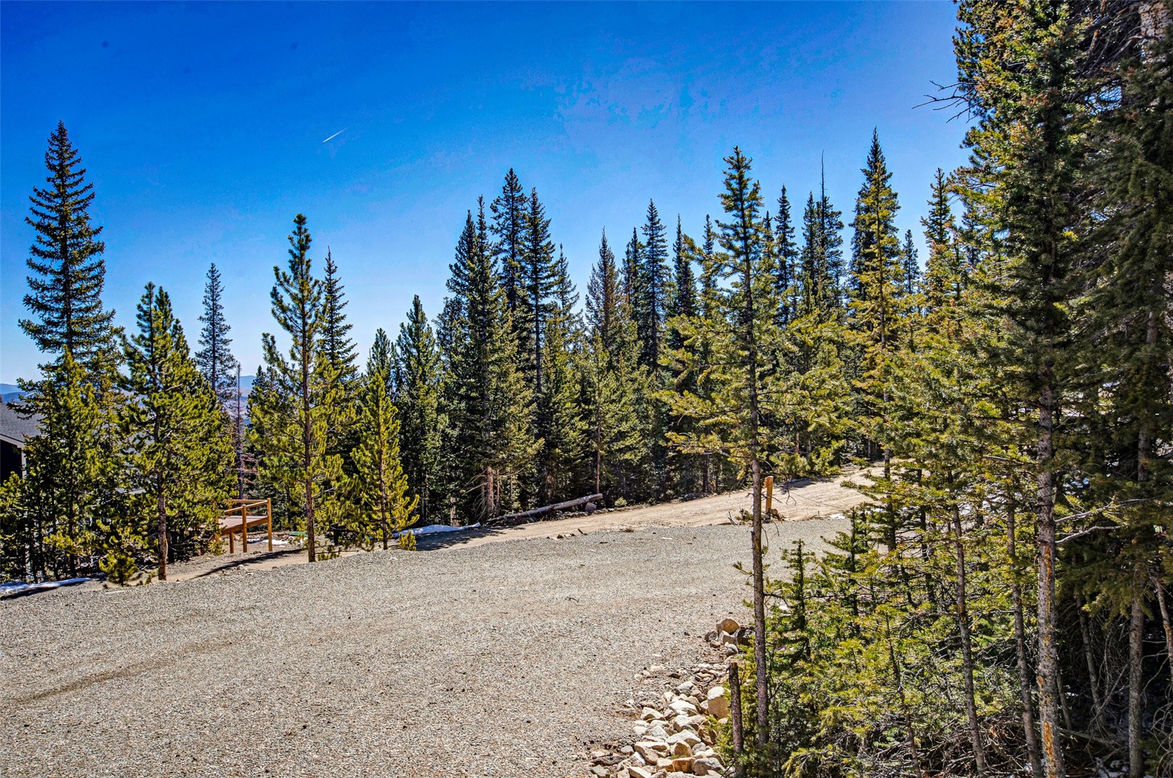 313 Porcupine Road Fairplay, CO 80440 - Photo 34 of 50 a view of a forest with trees in the background