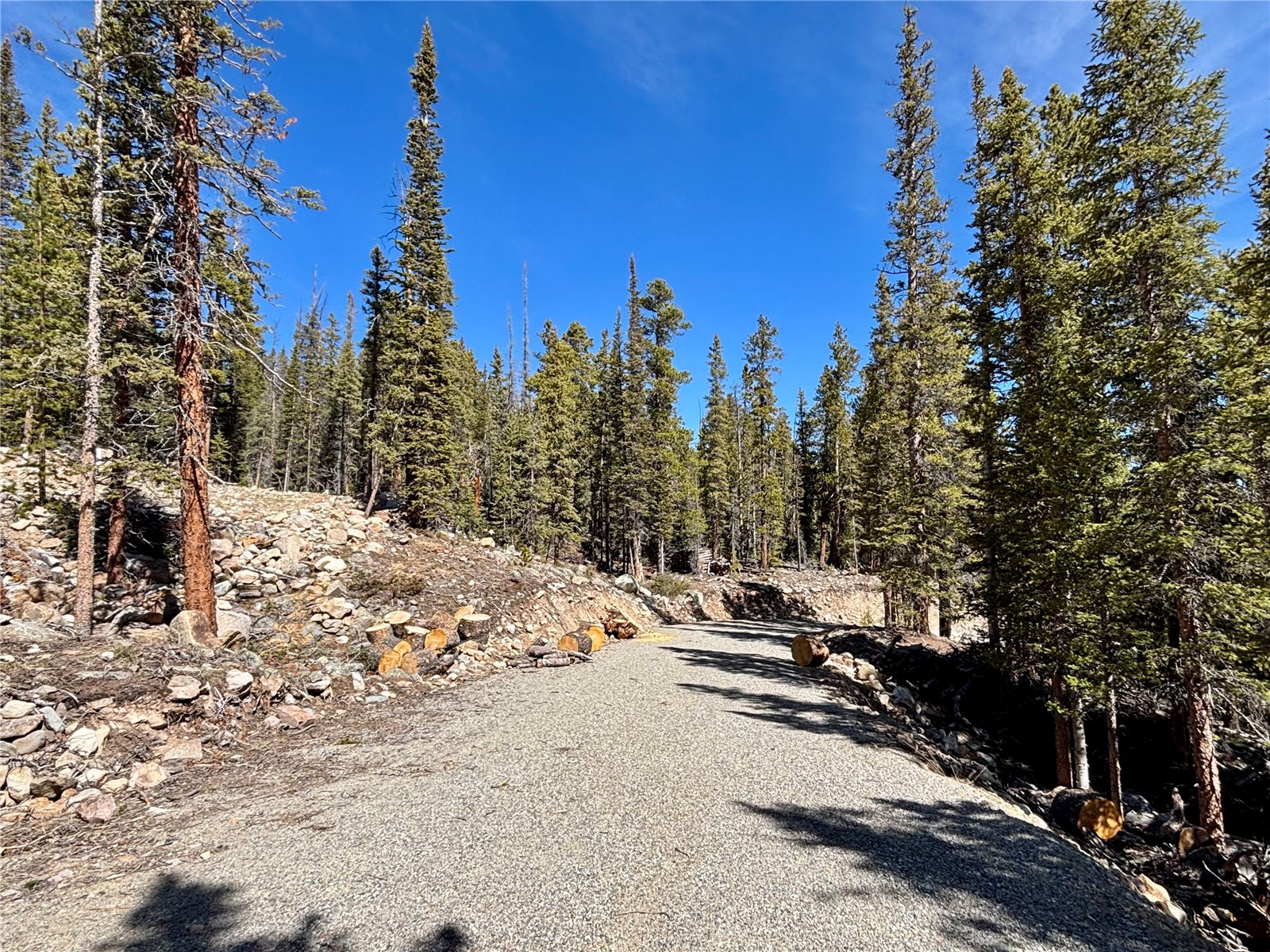 313 Porcupine Road Fairplay, CO 80440 - Photo 40 of 50 a view of a large road with trees