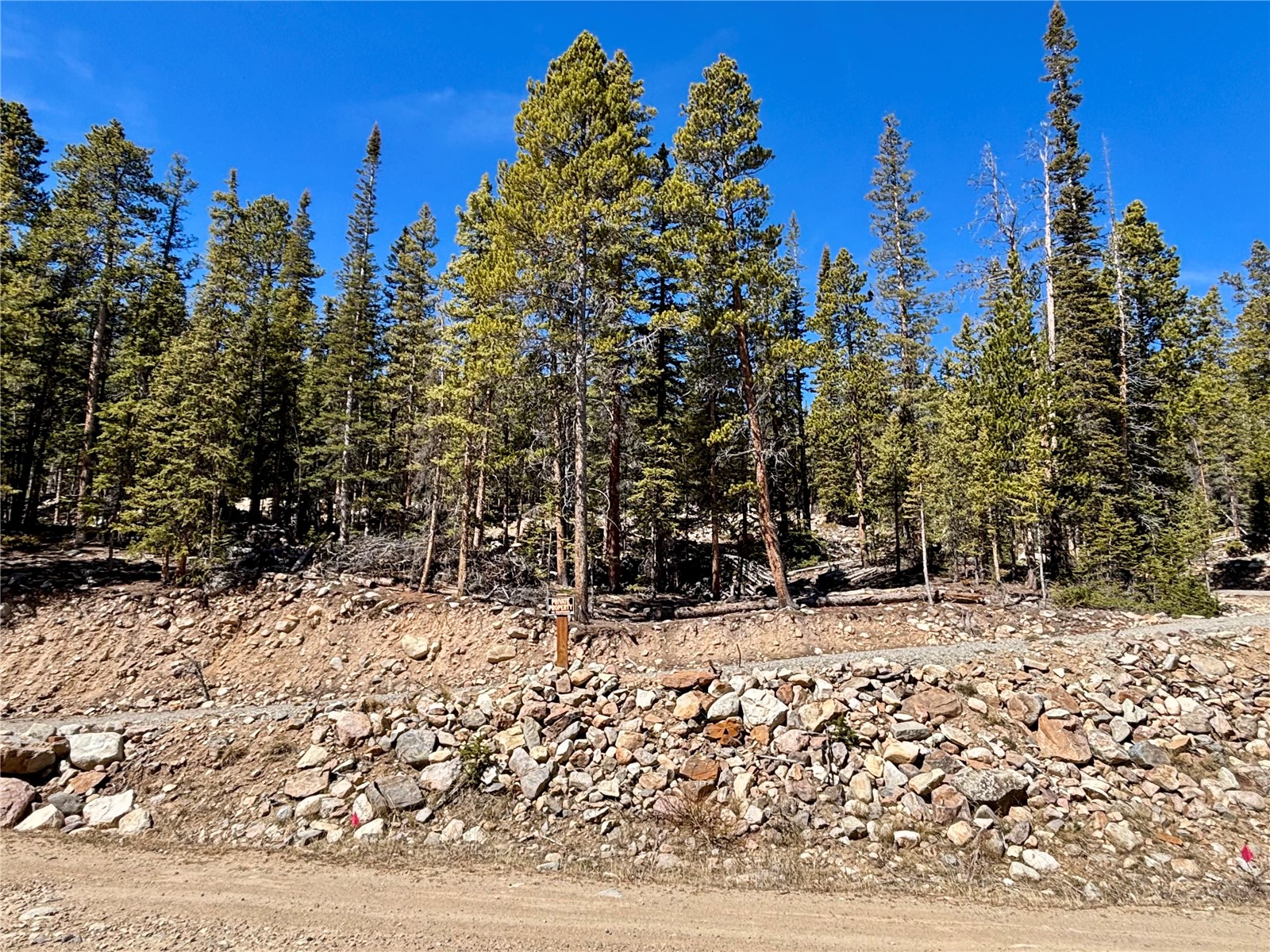 313 Porcupine Road Fairplay, CO 80440 - Photo 4 of 50 a view of a covered with snow in the background