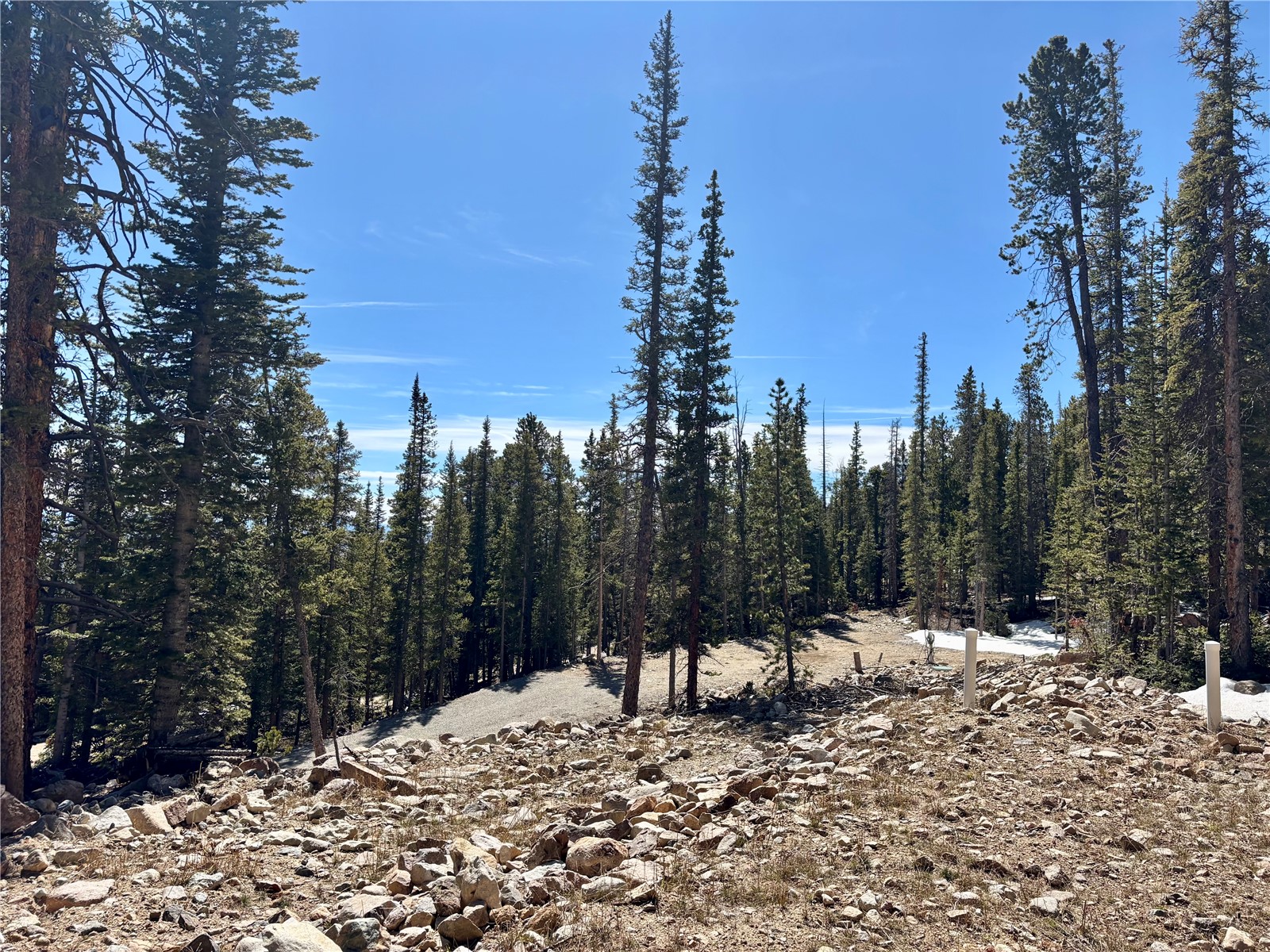 313 Porcupine Road Fairplay, CO 80440 - Photo 45 of 50 a view of outdoor space with trees