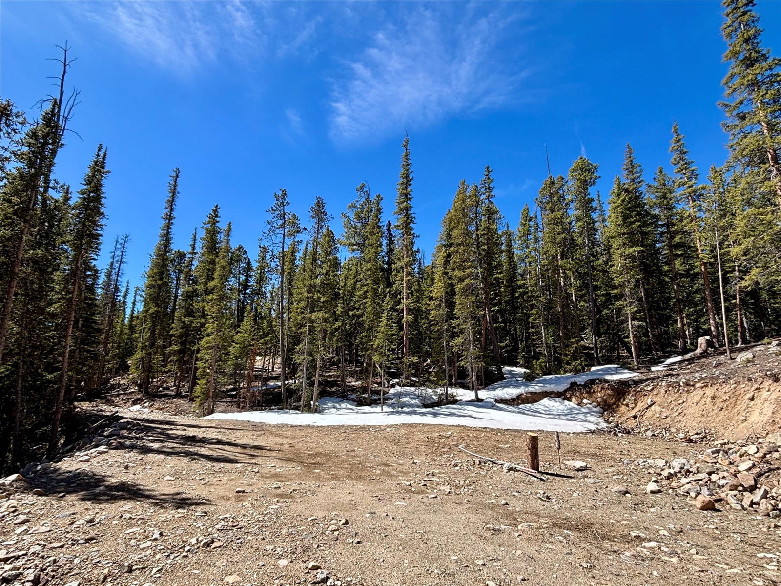 313 Porcupine Road Fairplay, CO 80440 - Photo 6 of 50 a view of a snow with trees in the background