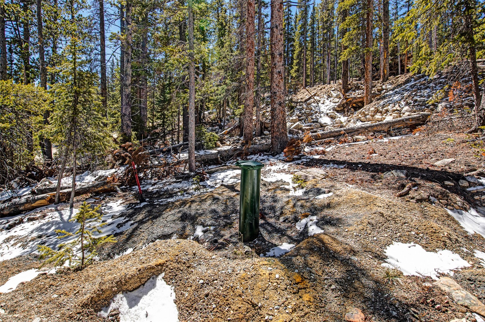 313 Porcupine Road Fairplay, CO 80440 - Photo 7 of 50 a view of a yard with lots of trees