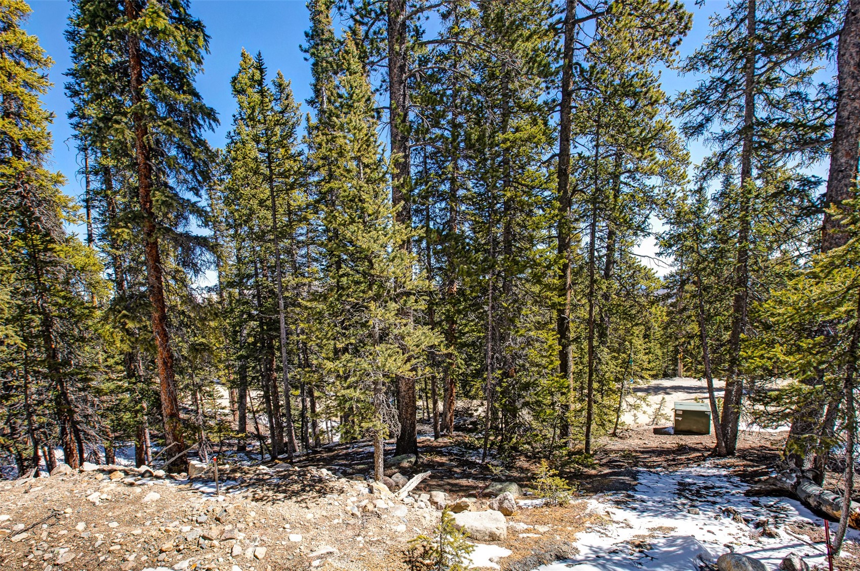 313 Porcupine Road Fairplay, CO 80440 - Photo 9 of 50 a view of outdoor space with deck and trees