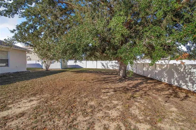 a view of a house with a tree