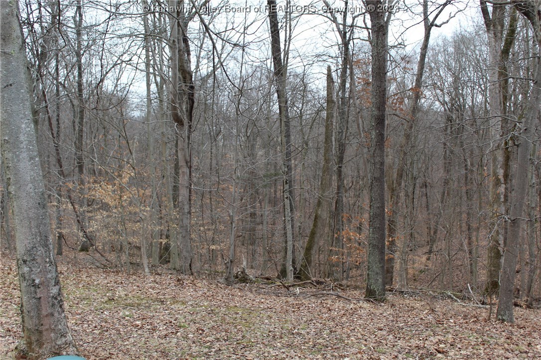 38 Summit Point Drive Eleanor, WV 25070 - Photo 4 of 11 Gallery Image 4