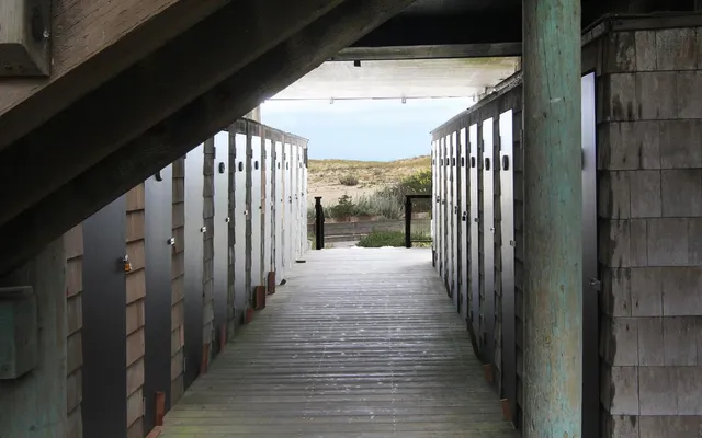 a view of an ocean and beach