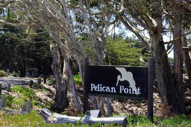 a view of a big house with many windows