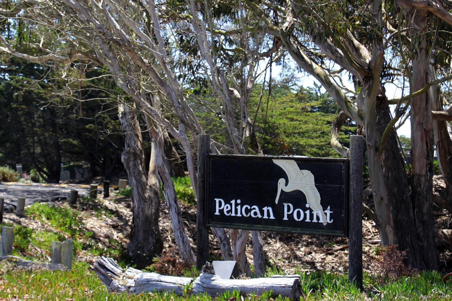 66 Pelican Point Watsonville, CA 95076 - Photo 3 of 30 a sign that is sitting on a tree