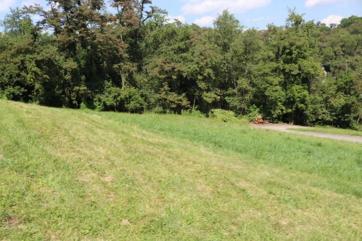 6406 Leechburg Road Verona, PA 15147 - Photo 4 of 20