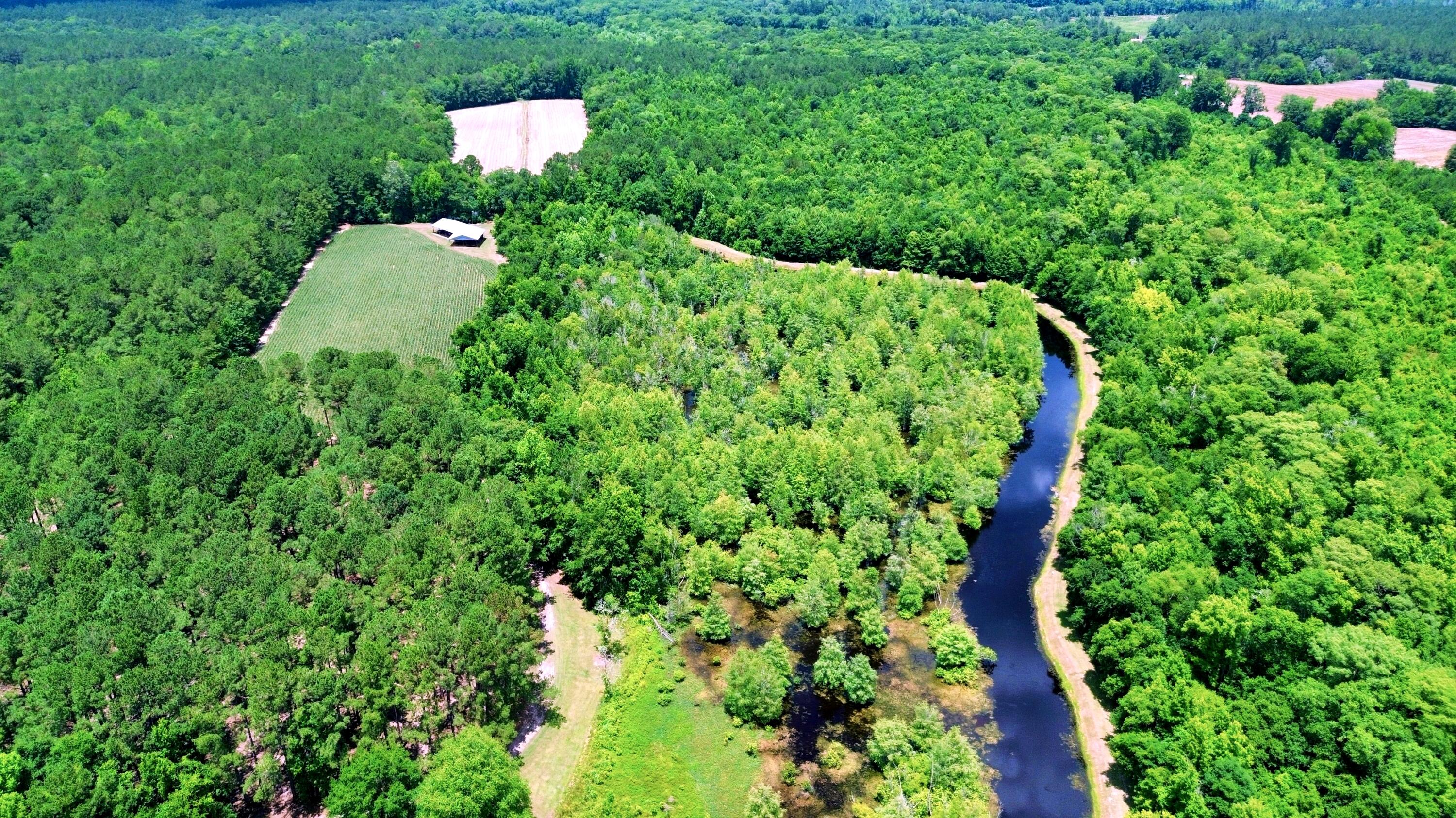 1970 Cross Swamp Road Islandton, SC 29929 - Photo 114 of 150
