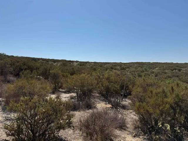 a view of city and green space